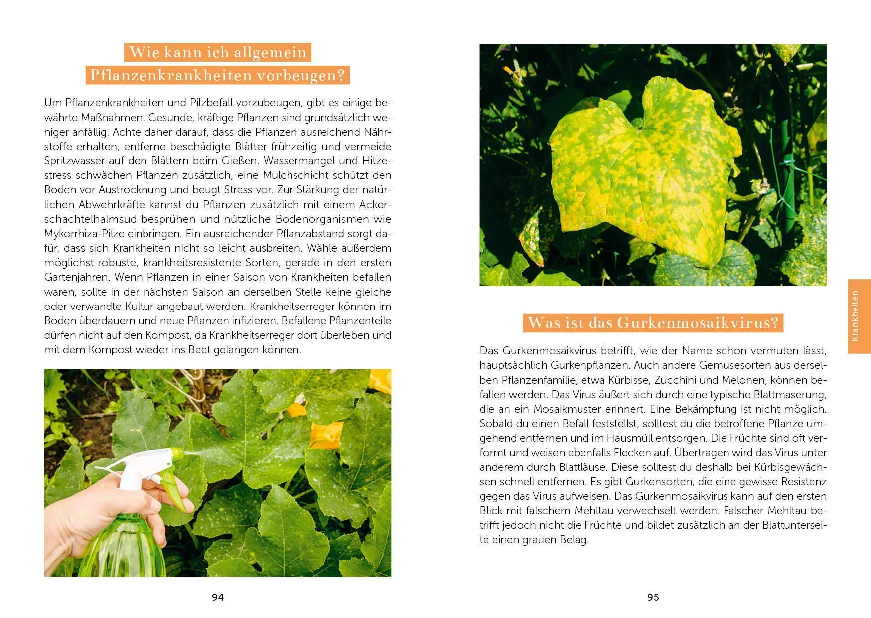 Bild: 9783745932225 | Das Gemüsegarten 1 x 1 | Kai Meret Brieske | Taschenbuch | 240 S.