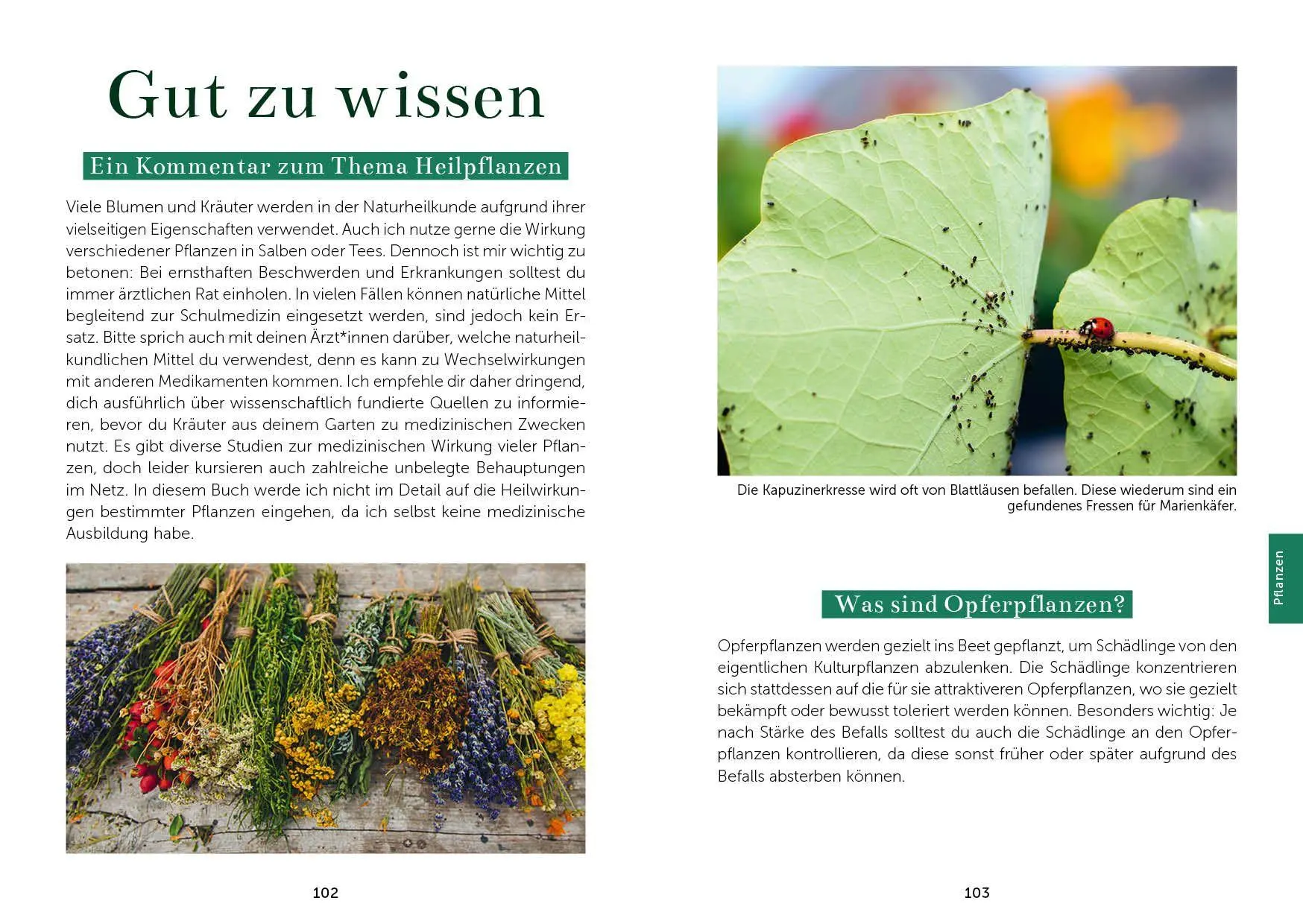 Bild: 9783745932225 | Das Gemüsegarten 1 x 1 | Kai Meret Brieske | Taschenbuch | 240 S.