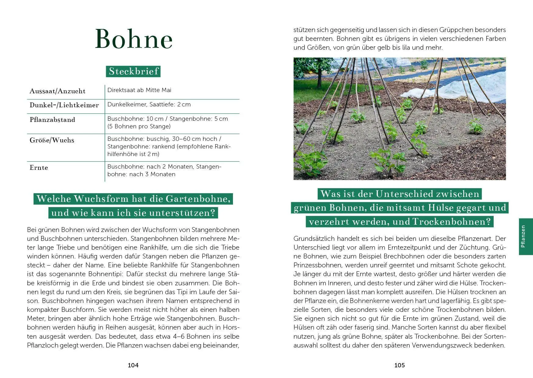 Bild: 9783745932225 | Das Gemüsegarten 1 x 1 | Kai Meret Brieske | Taschenbuch | 240 S.