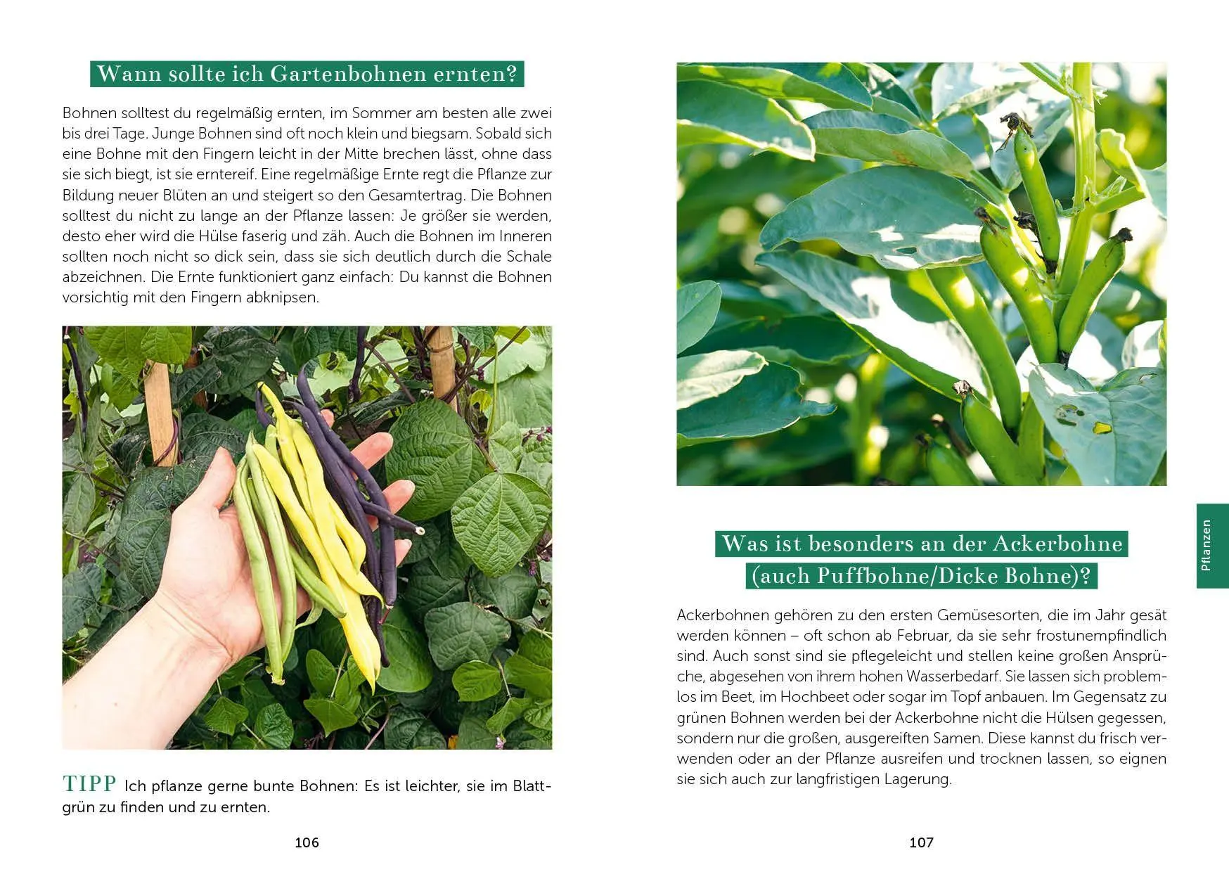 Bild: 9783745932225 | Das Gemüsegarten 1 x 1 | Kai Meret Brieske | Taschenbuch | 240 S.