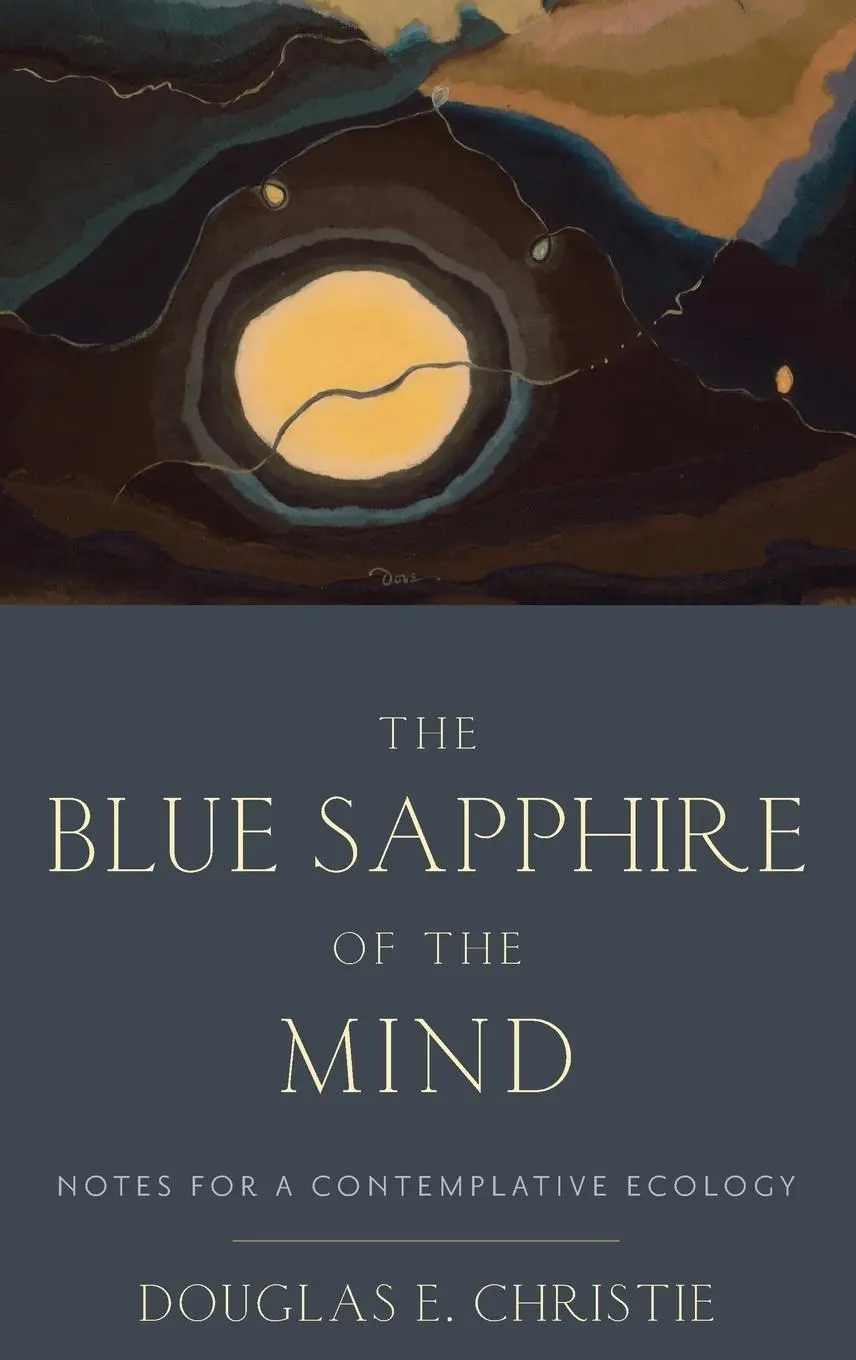 Cover: 9780199812325 | Blue Sapphire of the Mind | Notes for a Contemplative Ecology | Buch