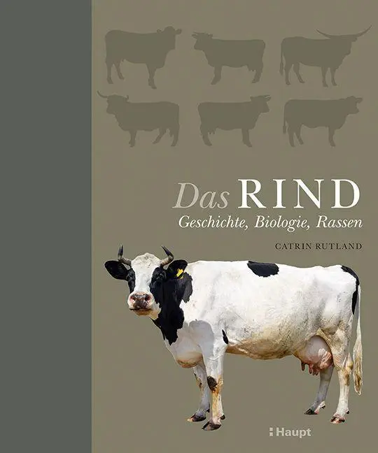 Cover: 9783258082325 | Das Rind | Geschichte, Biologie, Rassen | Catrin Rutland | Buch | 2022
