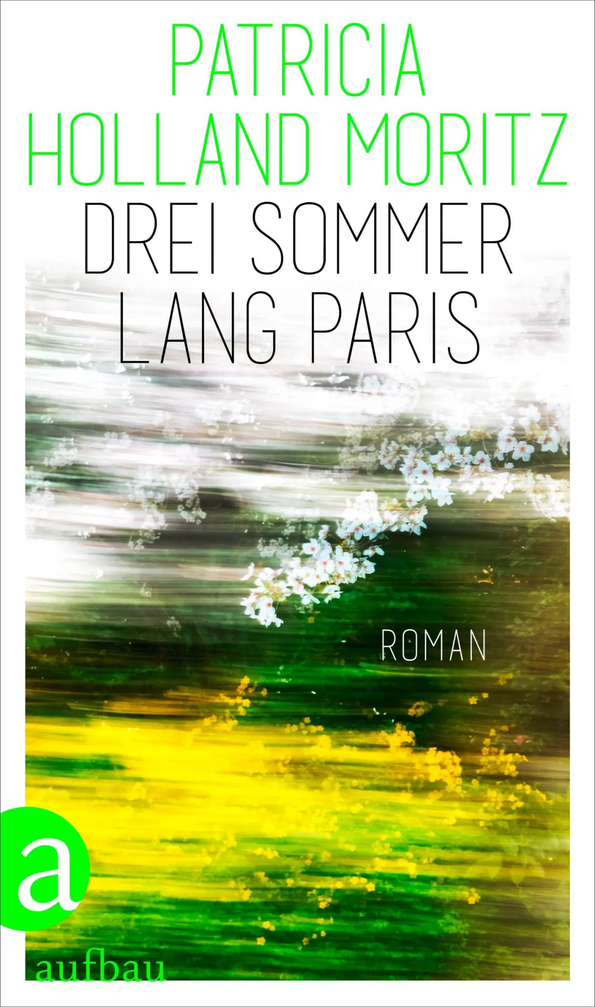 Cover: 9783351042325 | Drei Sommer lang Paris | Roman | Patricia Holland Moritz | Buch | 2025