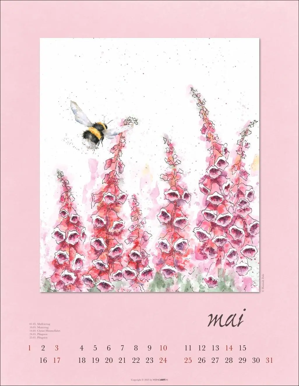 Bild: 9783839902325 | Country Life Kalender 2026 | Hannah Dale | Kalender | Spiralbindung