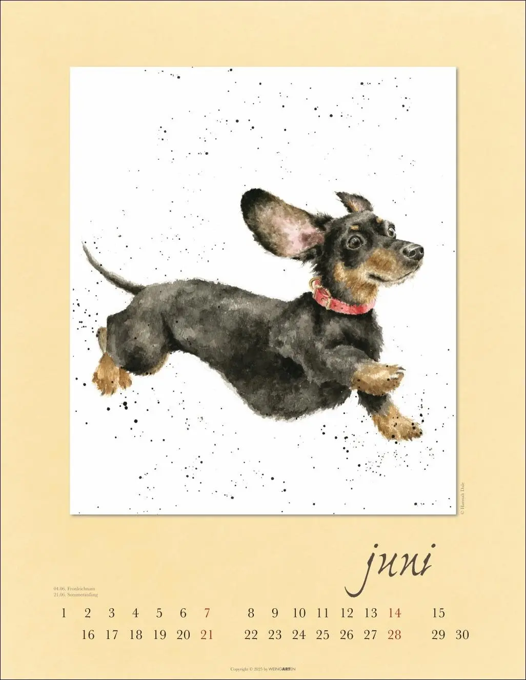Bild: 9783839902325 | Country Life Kalender 2026 | Hannah Dale | Kalender | Spiralbindung