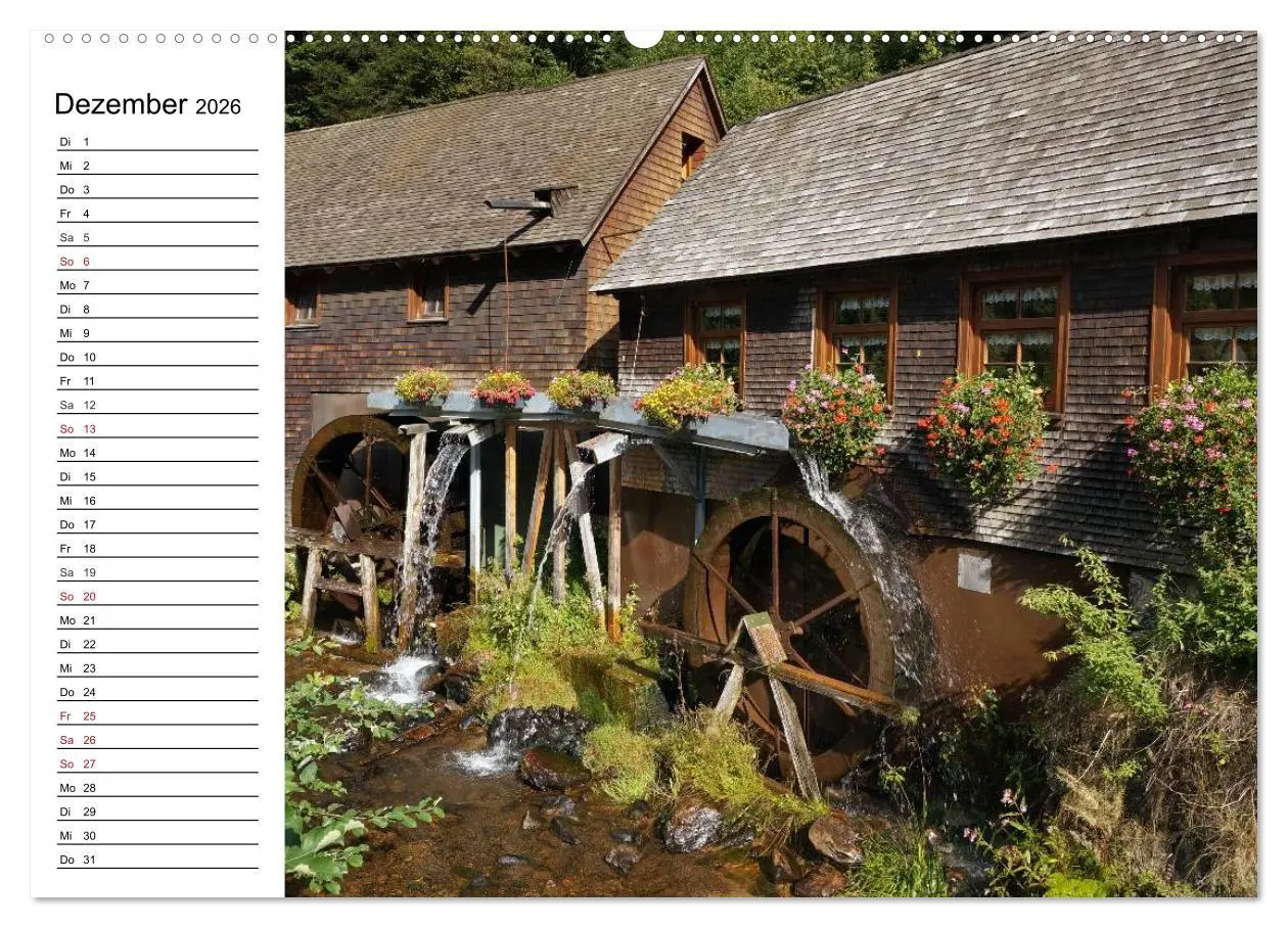 Bild: 9783457992425 | Südschwarzwald - Impressionen (Wandkalender 2026 DIN A2 quer),...