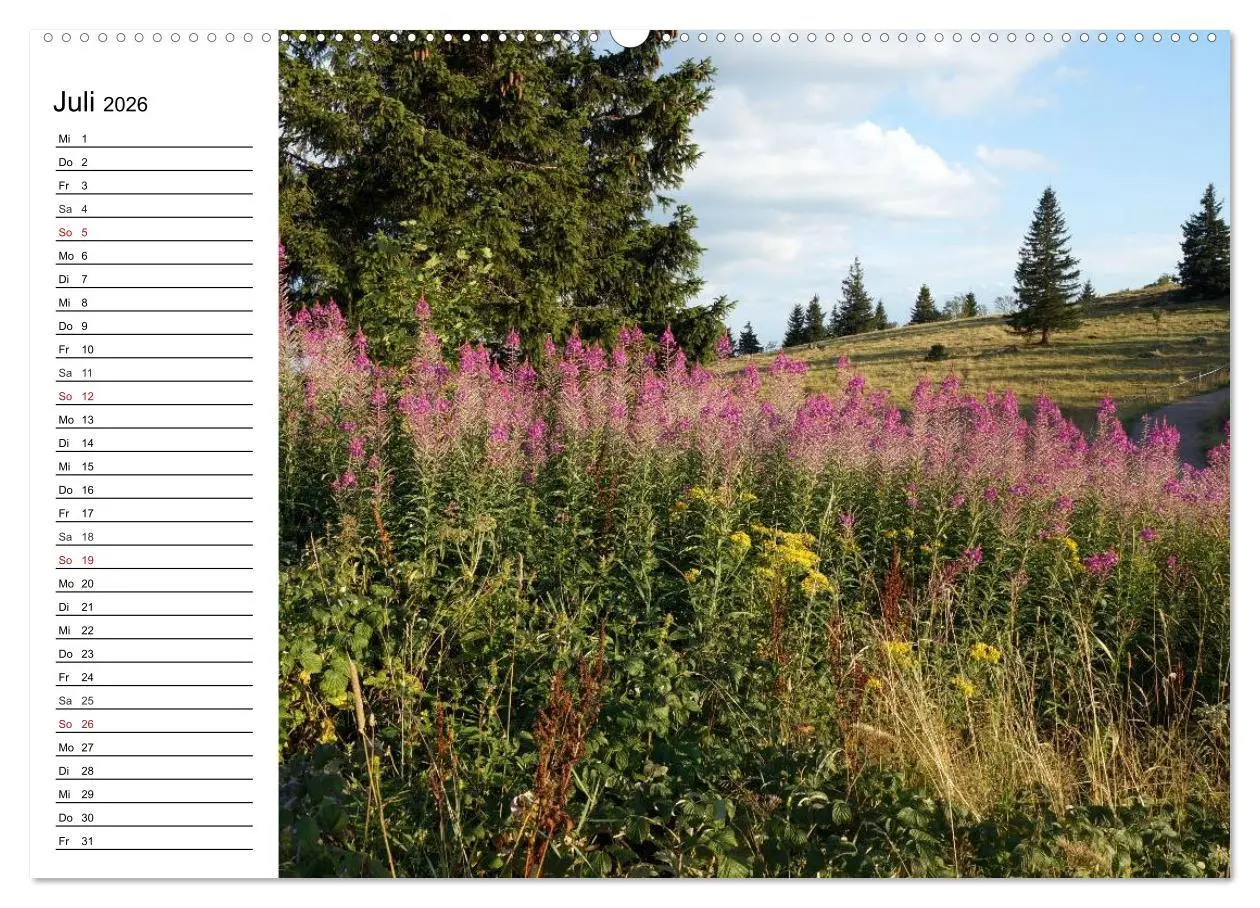 Bild: 9783457992425 | Südschwarzwald - Impressionen (Wandkalender 2026 DIN A2 quer),...