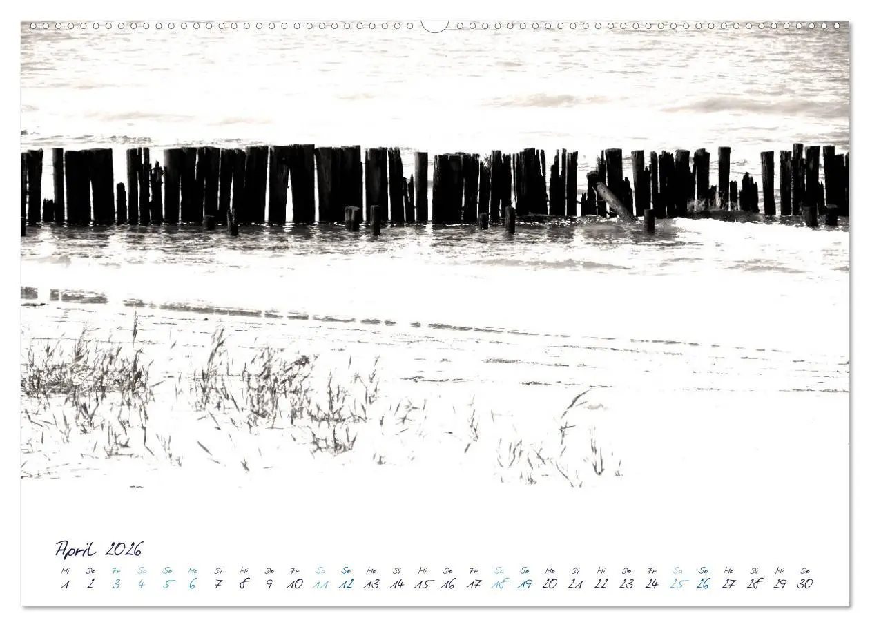 Bild: 9783516222425 | Meeresbilder - Nordsee-Impressionen (Wandkalender 2026 DIN A2...