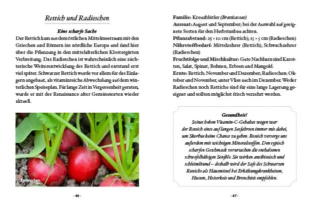 Bild: 9783710402425 | Das kleine Buch: Wintergemüse | Vitamine ernten bei Schnee &amp; Frost