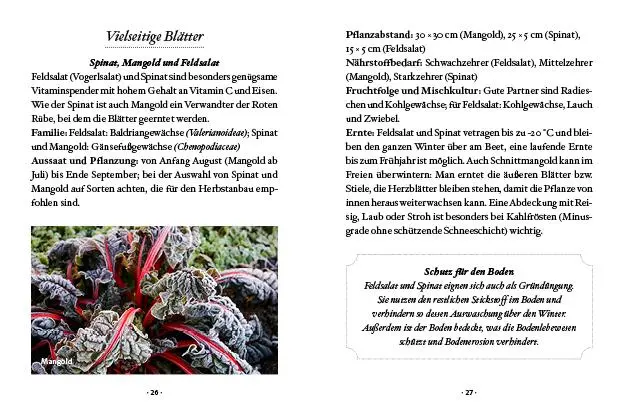Bild: 9783710402425 | Das kleine Buch: Wintergemüse | Vitamine ernten bei Schnee &amp; Frost