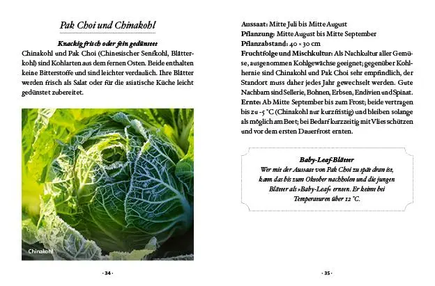 Bild: 9783710402425 | Das kleine Buch: Wintergemüse | Vitamine ernten bei Schnee &amp; Frost