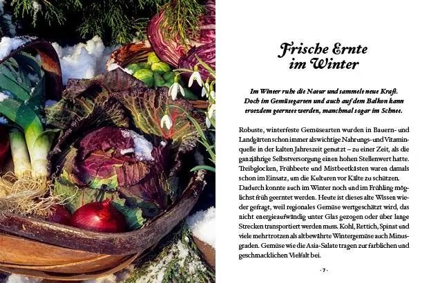 Bild: 9783710402425 | Das kleine Buch: Wintergemüse | Vitamine ernten bei Schnee &amp; Frost