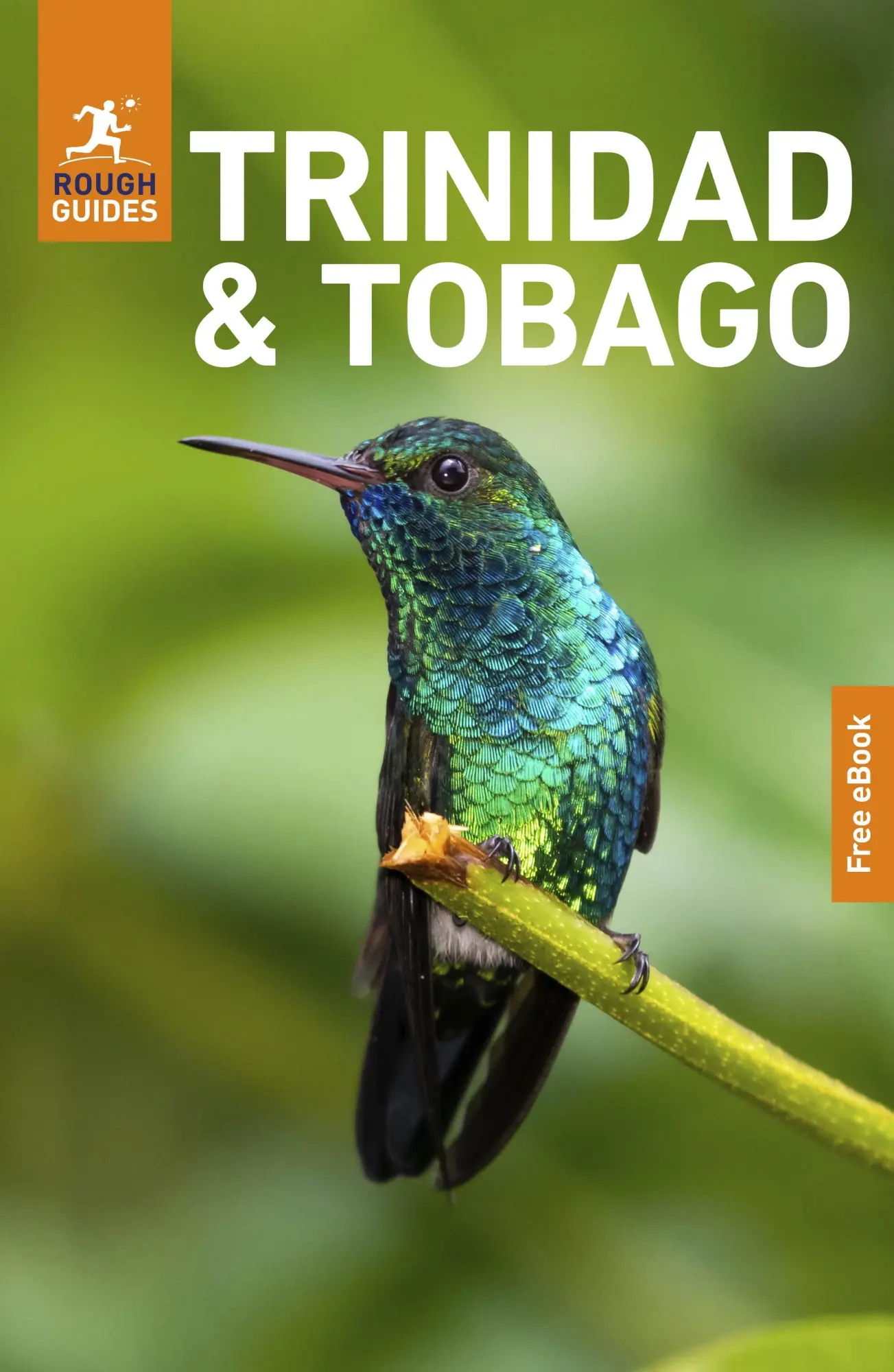 Cover: 9781835292525 | Rough Guides Trinidad and Tobago: Travel Guide with eBook | Buch