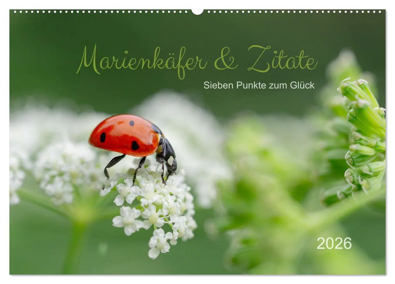 Cover: 9783457502525 | Marienkäfer &amp; Zitate - Sieben Punkte zum Glück (Wandkalender 2026...