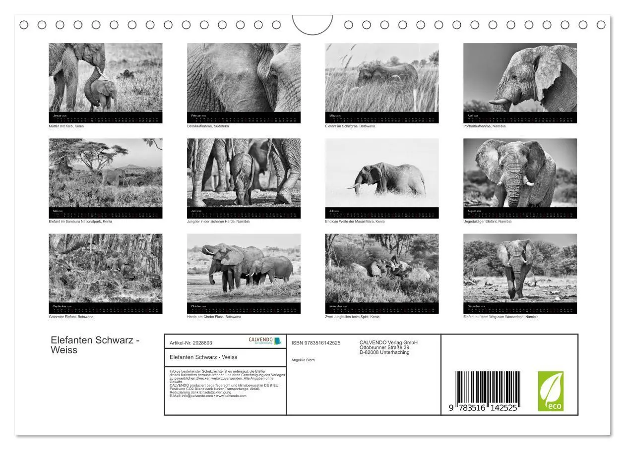 Bild: 9783516142525 | Elefanten Schwarz - Weiss (Wandkalender 2026 DIN A4 quer), CALVENDO...