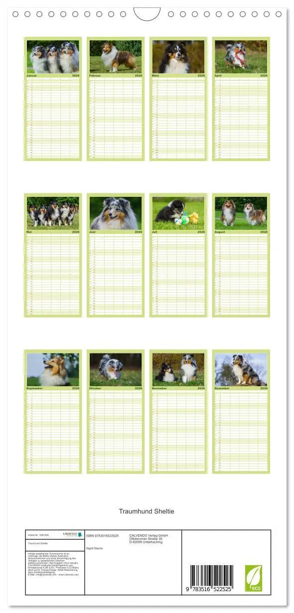 Bild: 9783516522525 | Familienplaner 2026 - Traumhund Sheltie mit 5 Spalten...