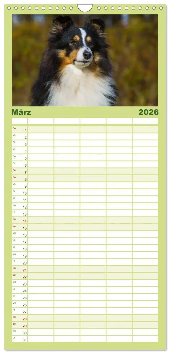 Bild: 9783516522525 | Familienplaner 2026 - Traumhund Sheltie mit 5 Spalten...
