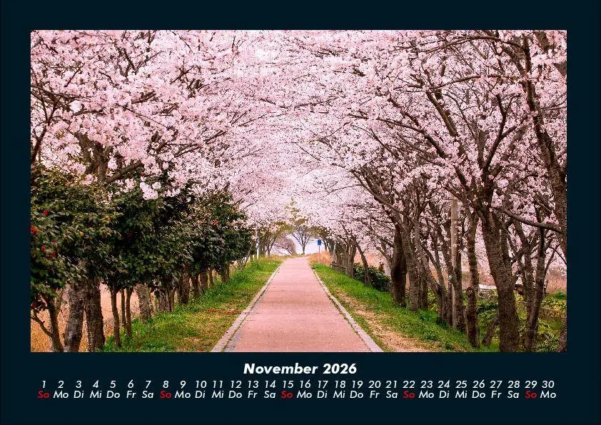 Bild: 9783695412525 | Natur Pur 2026 Fotokalender DIN A4 | Tobias Becker | Kalender | 2026