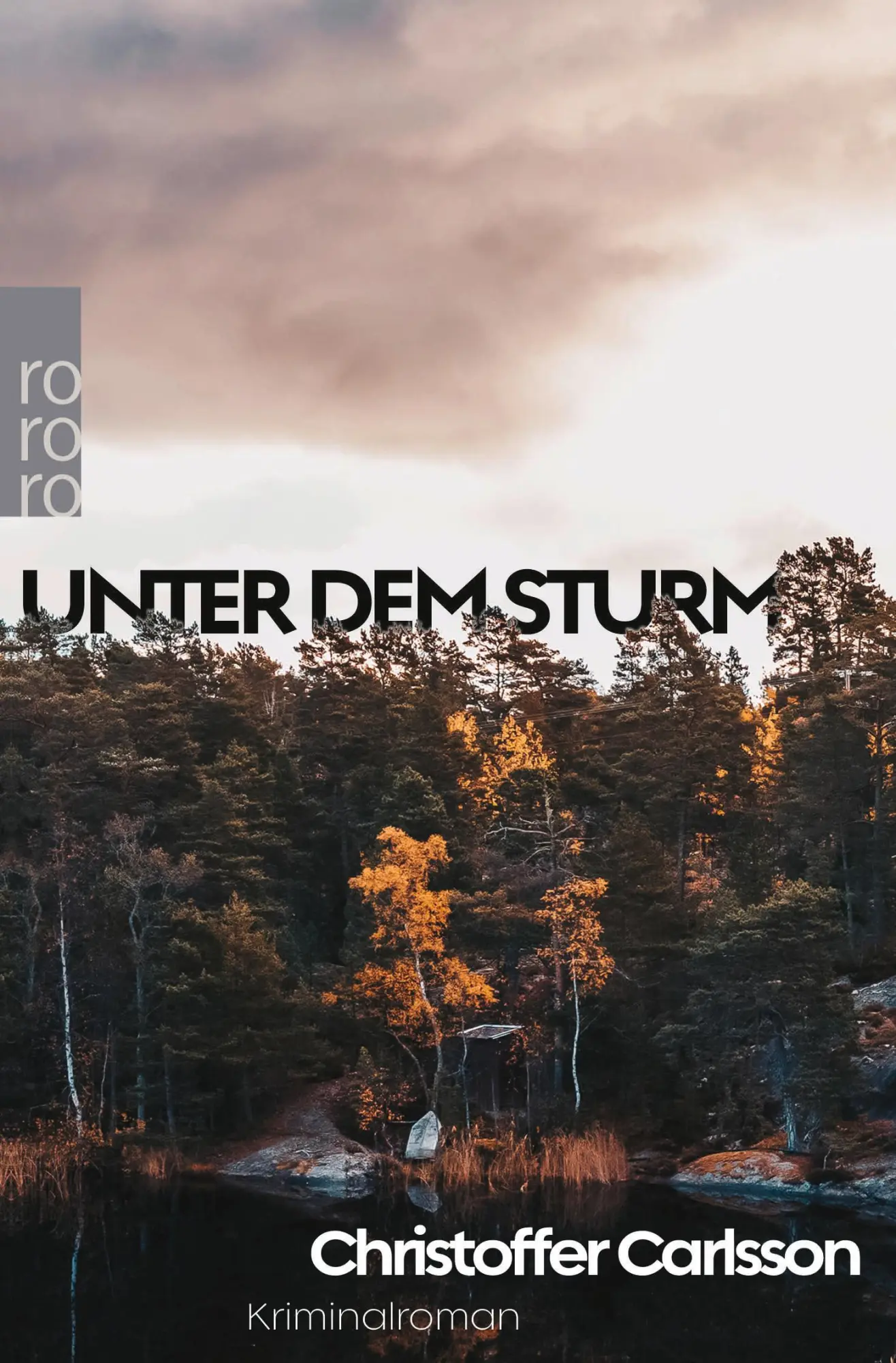 Cover: 9783499002625 | Unter dem Sturm | Kriminalroman Die Nummer 1 aus Schweden | Carlsson
