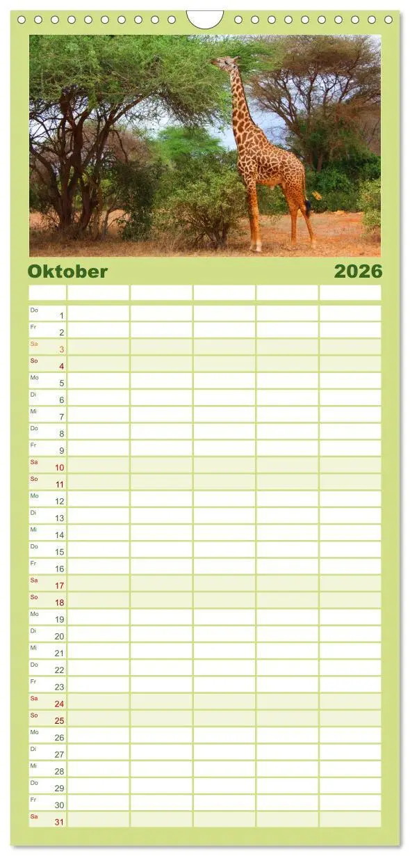 Bild: 9783516512625 | Familienplaner 2026 - Giraffen mit 5 Spalten (Wandkalender, 21 x 45...