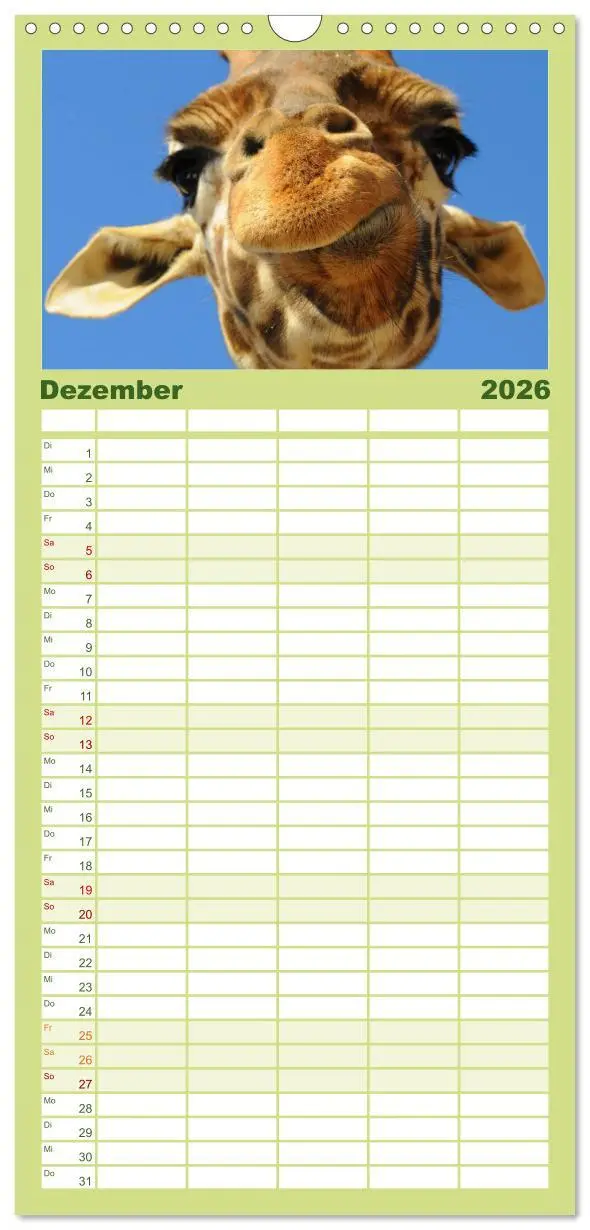 Bild: 9783516512625 | Familienplaner 2026 - Giraffen mit 5 Spalten (Wandkalender, 21 x 45...