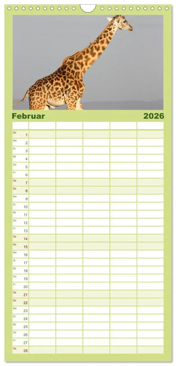 Bild: 9783516512625 | Familienplaner 2026 - Giraffen mit 5 Spalten (Wandkalender, 21 x 45...