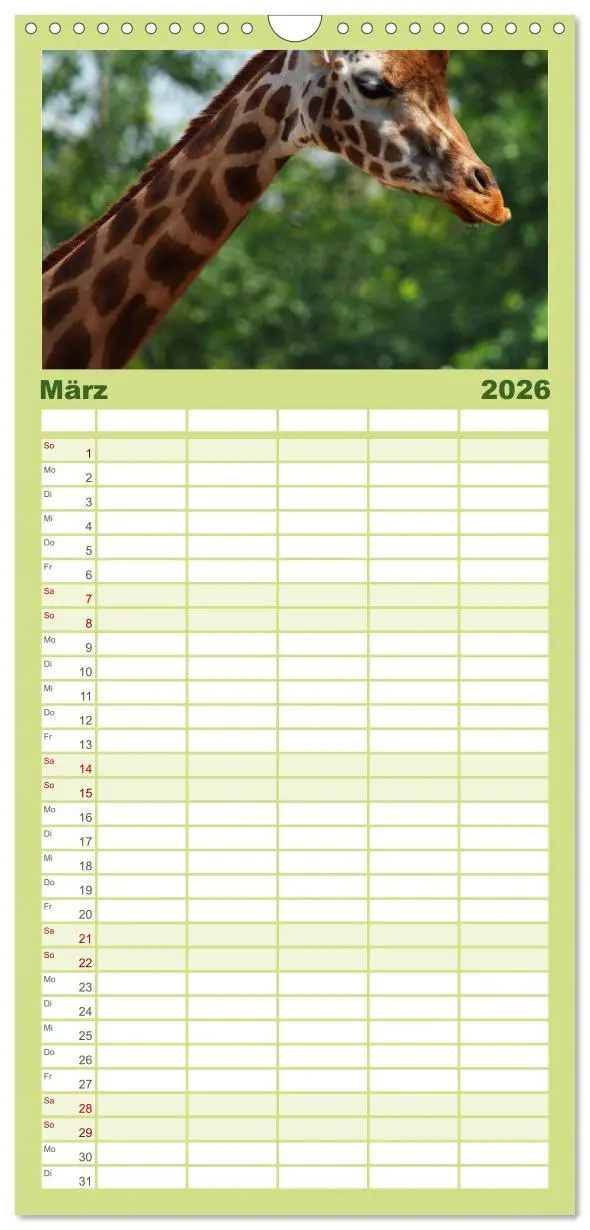 Bild: 9783516512625 | Familienplaner 2026 - Giraffen mit 5 Spalten (Wandkalender, 21 x 45...