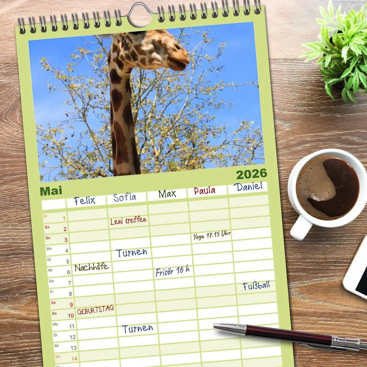 Bild: 9783516512625 | Familienplaner 2026 - Giraffen mit 5 Spalten (Wandkalender, 21 x 45...