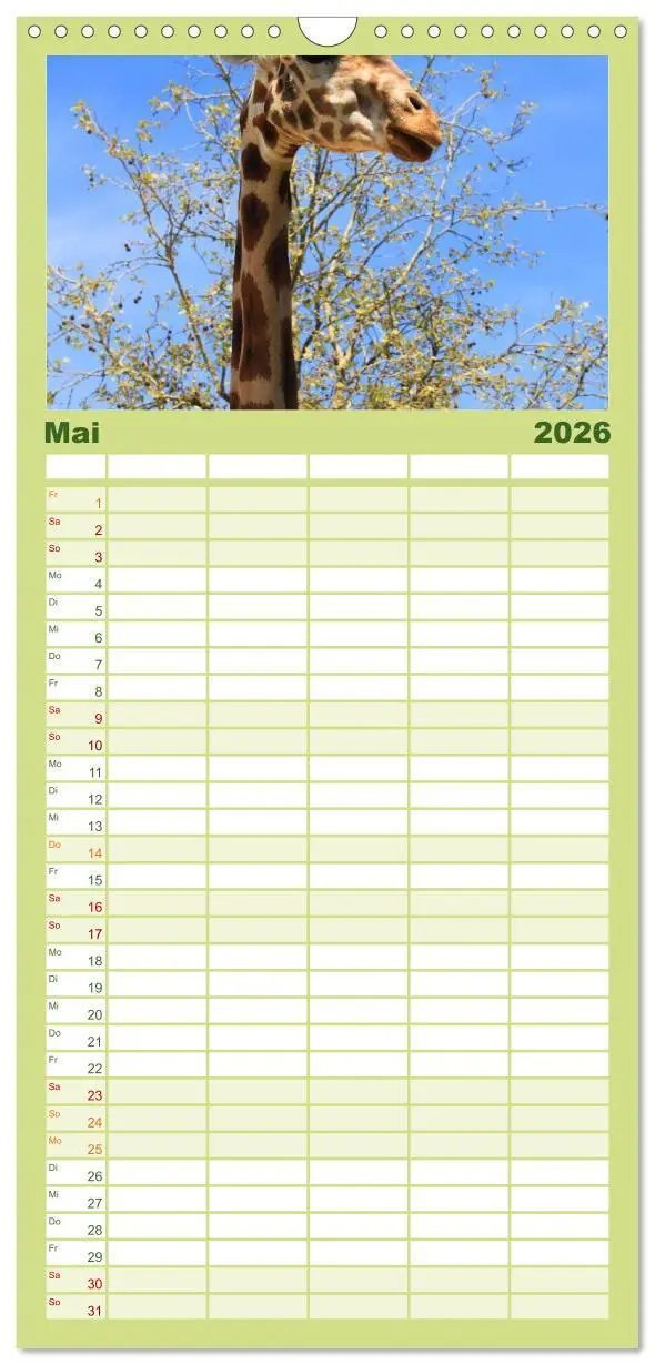 Bild: 9783516512625 | Familienplaner 2026 - Giraffen mit 5 Spalten (Wandkalender, 21 x 45...