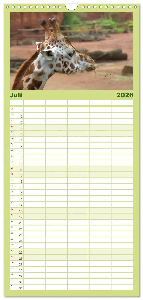 Bild: 9783516512625 | Familienplaner 2026 - Giraffen mit 5 Spalten (Wandkalender, 21 x 45...