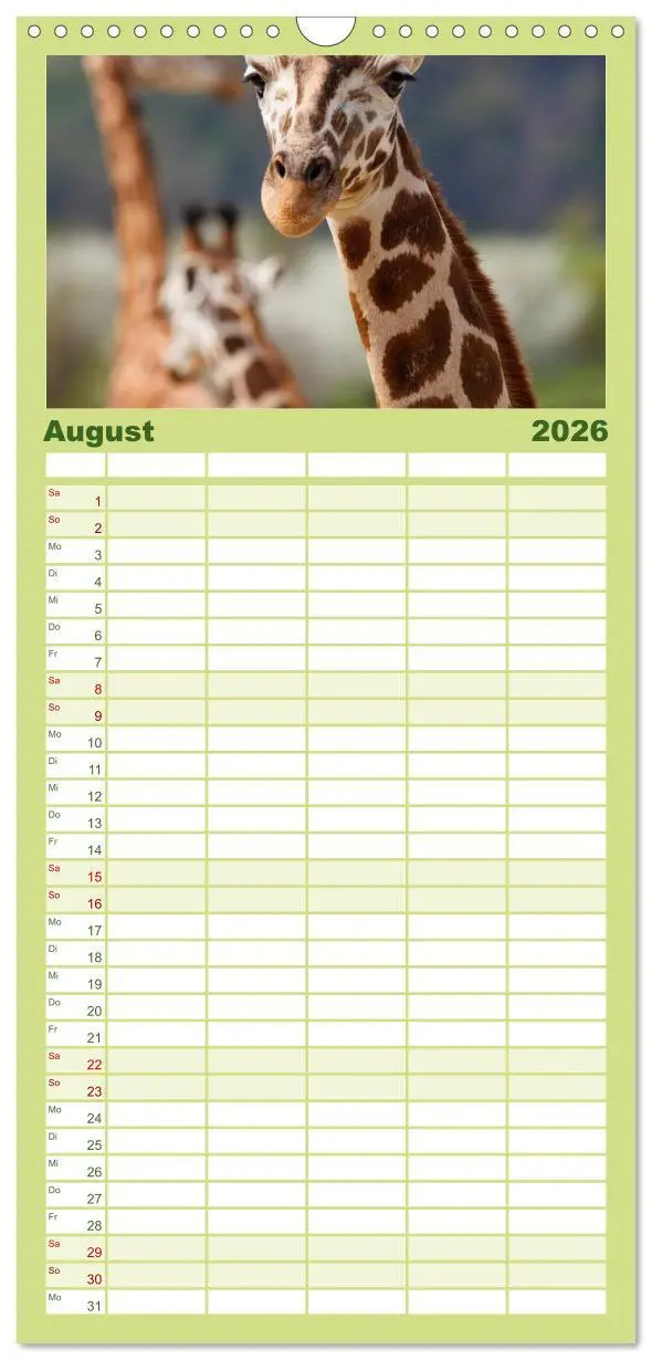 Bild: 9783516512625 | Familienplaner 2026 - Giraffen mit 5 Spalten (Wandkalender, 21 x 45...