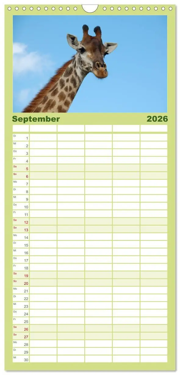Bild: 9783516512625 | Familienplaner 2026 - Giraffen mit 5 Spalten (Wandkalender, 21 x 45...