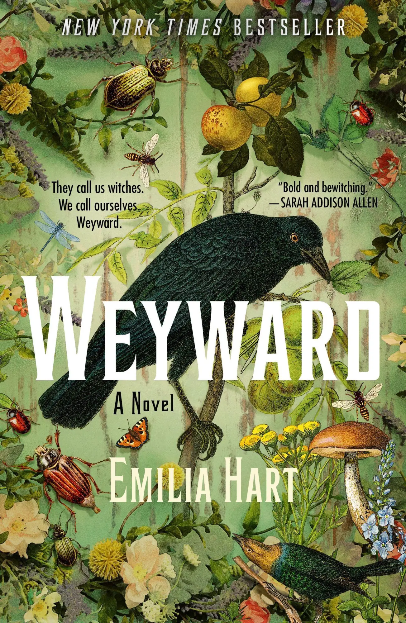 Cover: 9781250842725 | Weyward | Emilia Hart | Taschenbuch | 416 S. | Englisch | 2024