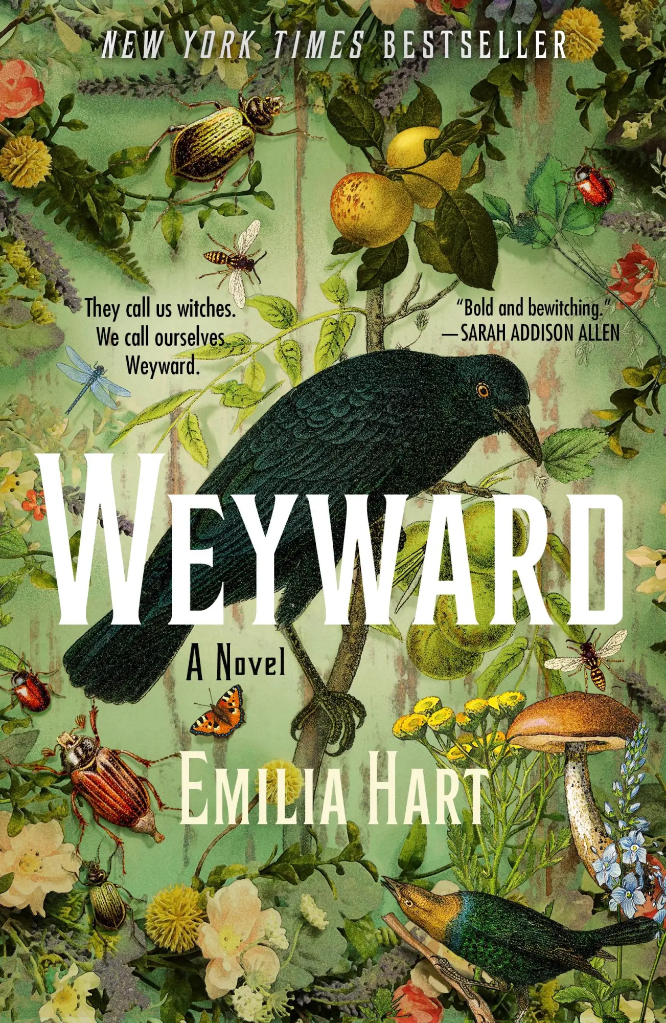 Autor: 9781250842725 | Weyward | Emilia Hart | Taschenbuch | 416 S. | Englisch | 2024