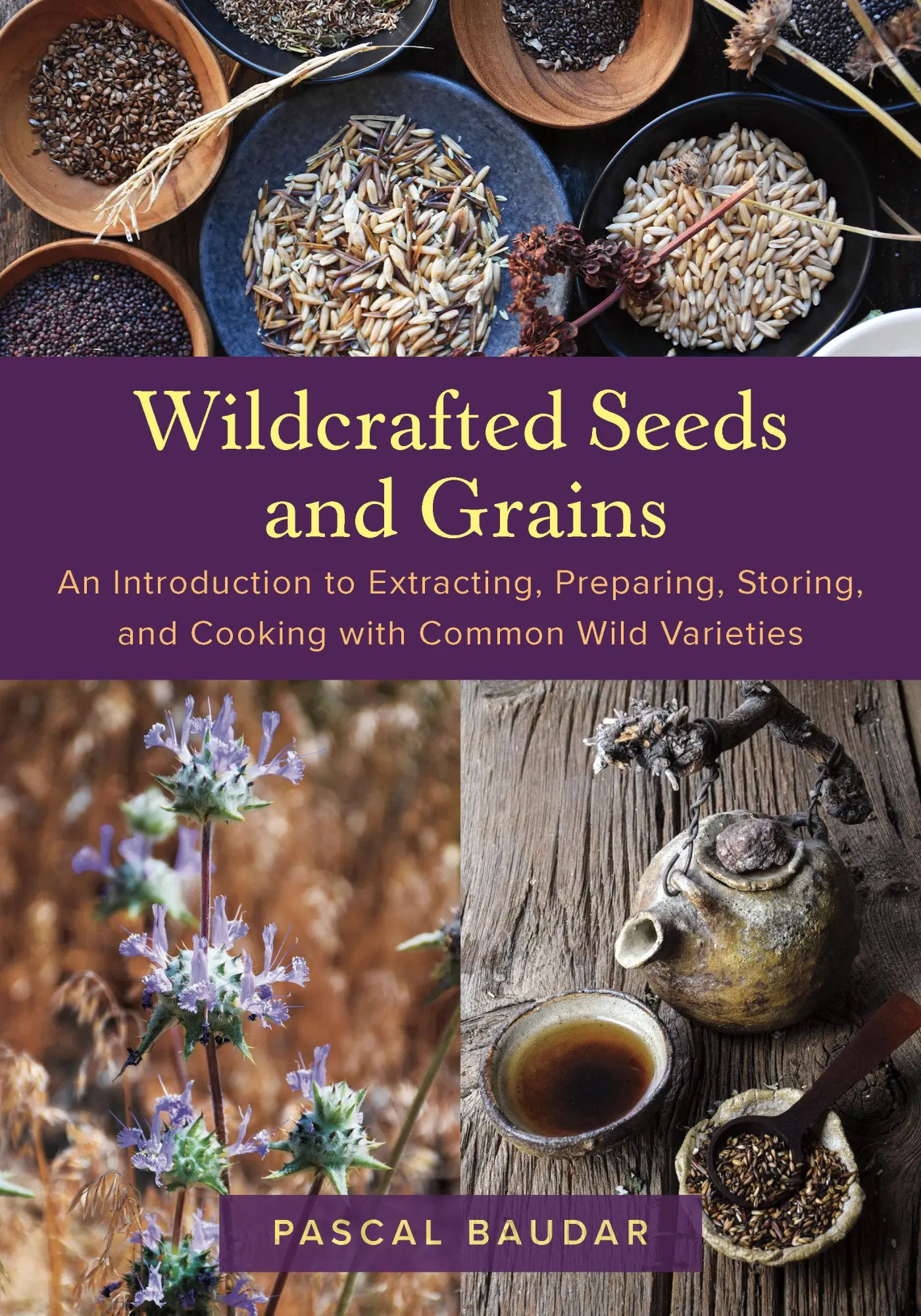 Cover: 9781645022725 | Wildcrafted Seeds and Grains | Pascal Baudar | Taschenbuch | Englisch