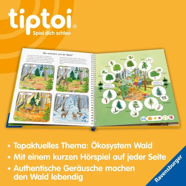 Bild: 9783473492725 | tiptoi® Wieso? Weshalb? Warum? - Unser Wald | Patricia Mennen | Buch