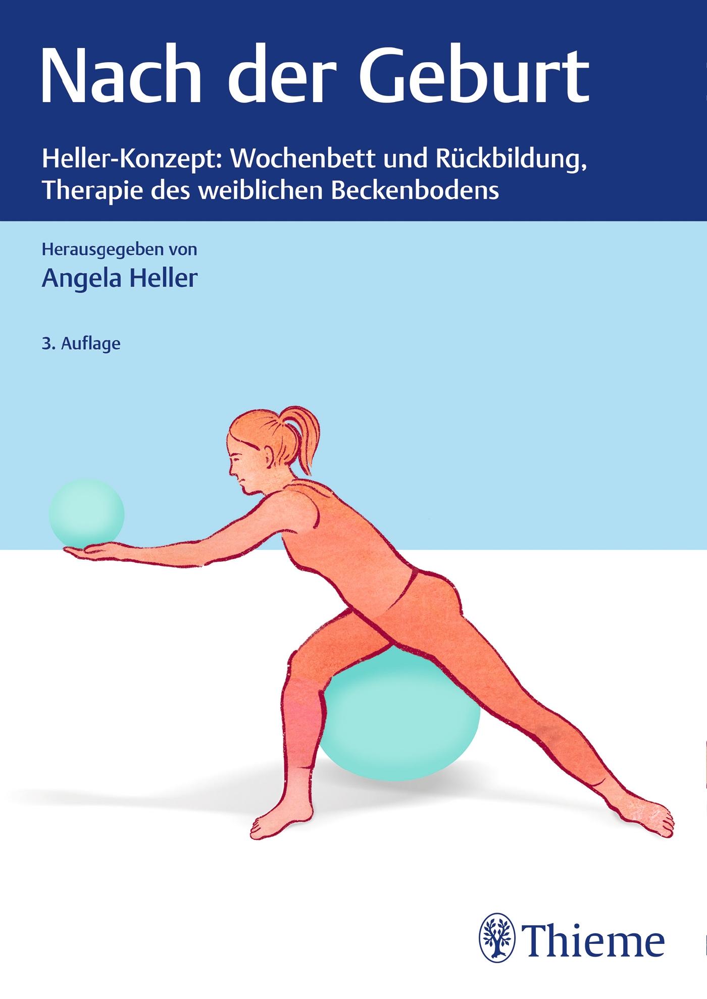 Cover: 9783132442825 | Nach der Geburt | Heller-Konzept: Therapie des weiblichen Beckenbodens