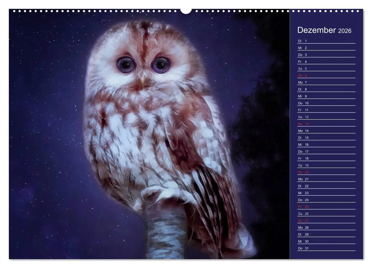 Bild: 9783516112825 | Süsse Tierwelt / CH-Version / Geburtstagskalender (Wandkalender...