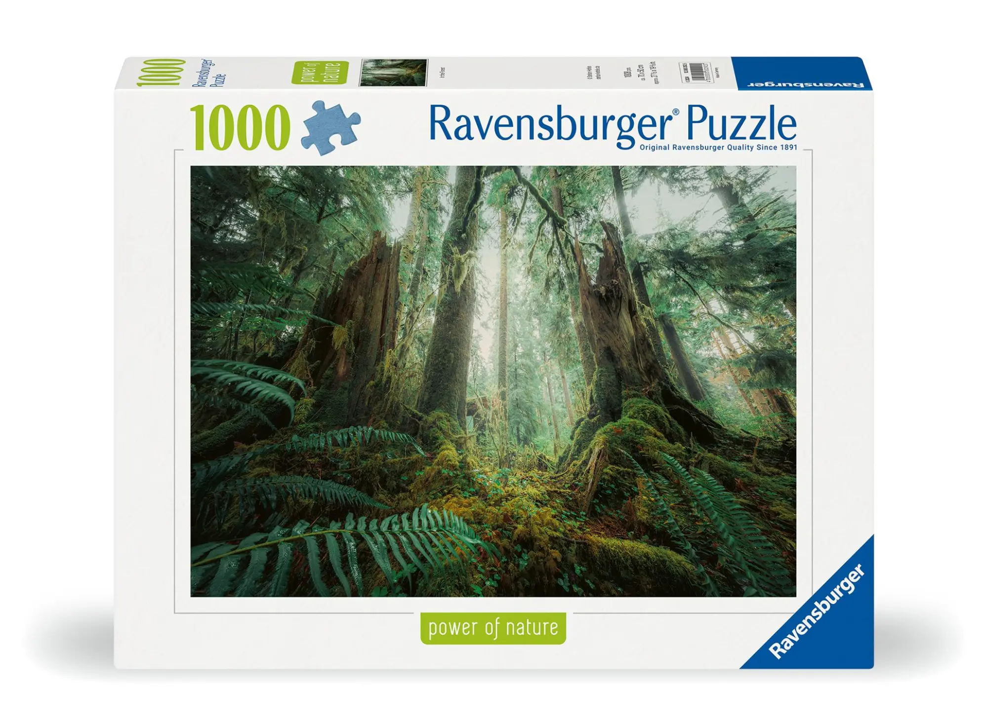 Cover: 4005555002925 | Erwachsenenpuzzle 1000 Teile - Faszinierender Wald | Spiel | 12000292
