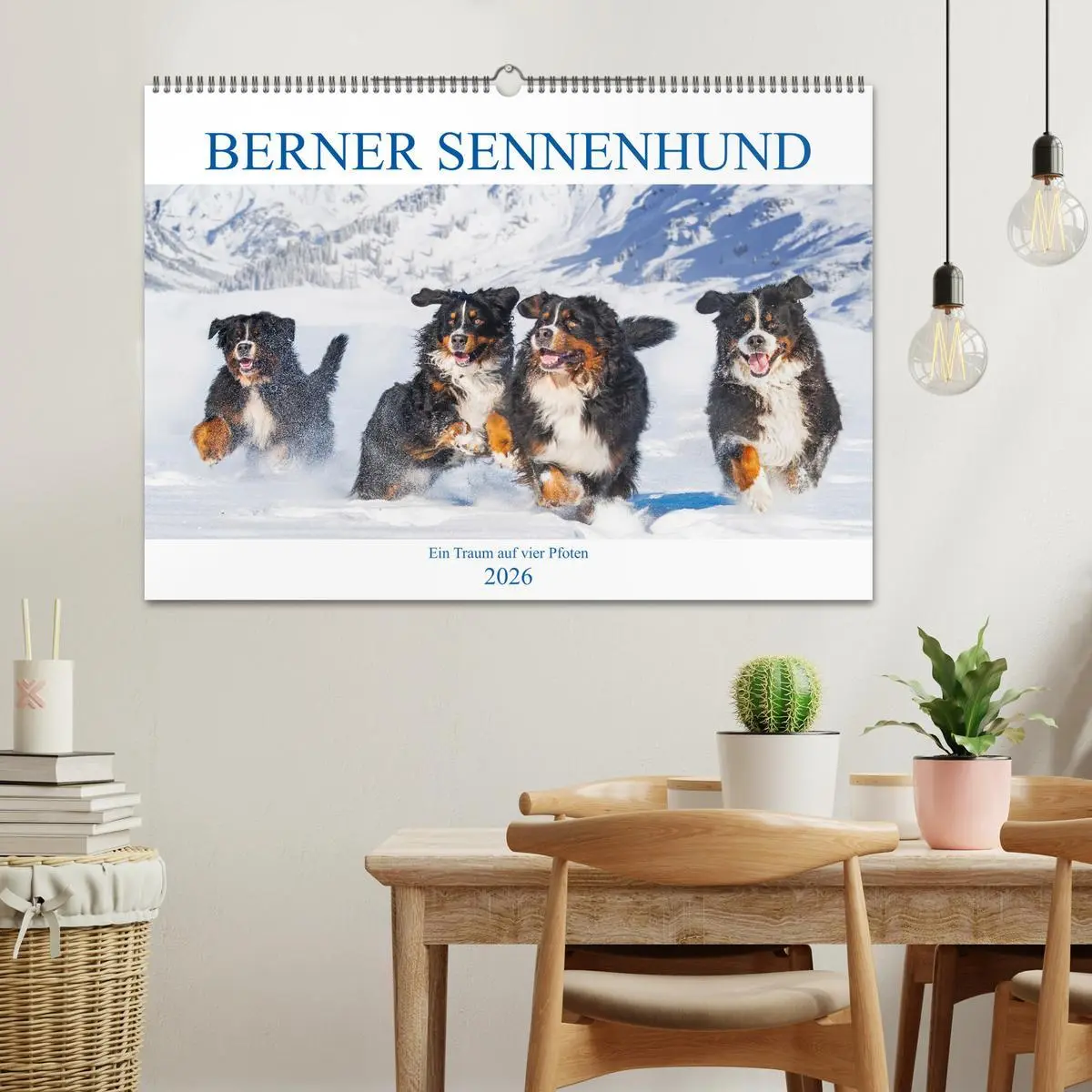 Bild: 9783457632925 | Berner Sennenhund - Ein Traum auf vier Pfoten (Wandkalender 2026...