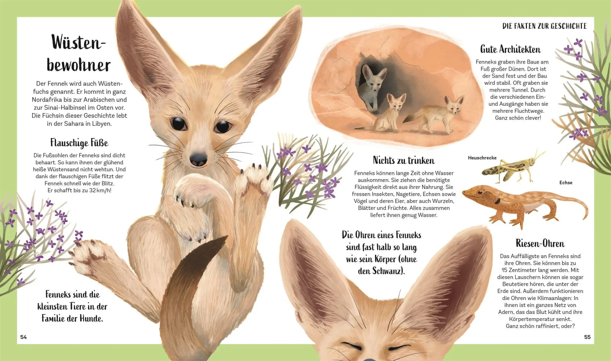 Bild: 9783831053025 | Tiergeschichten zum Träumen. Zauber der Nacht | Alicia Klepeis | Buch