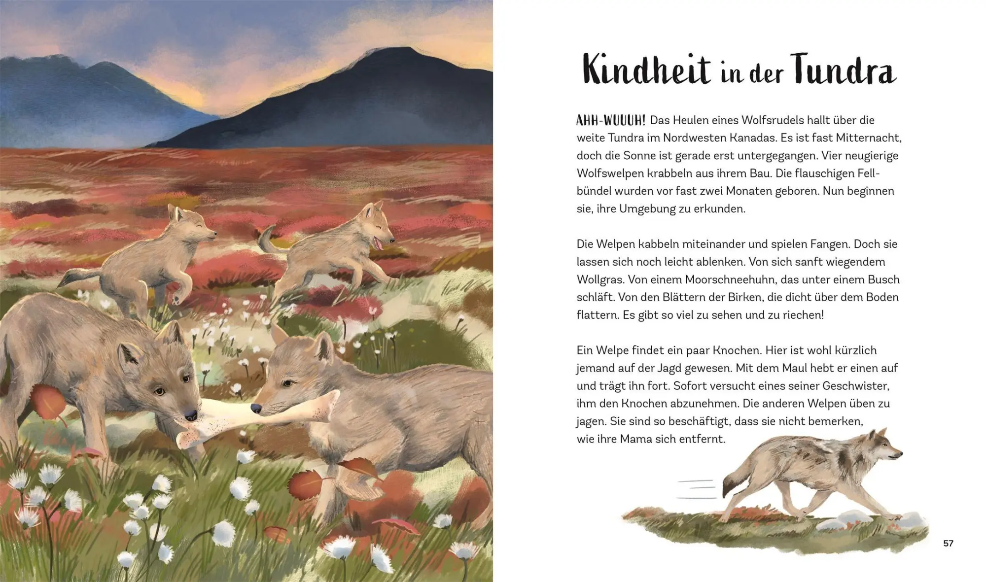 Bild: 9783831053025 | Tiergeschichten zum Träumen. Zauber der Nacht | Alicia Klepeis | Buch