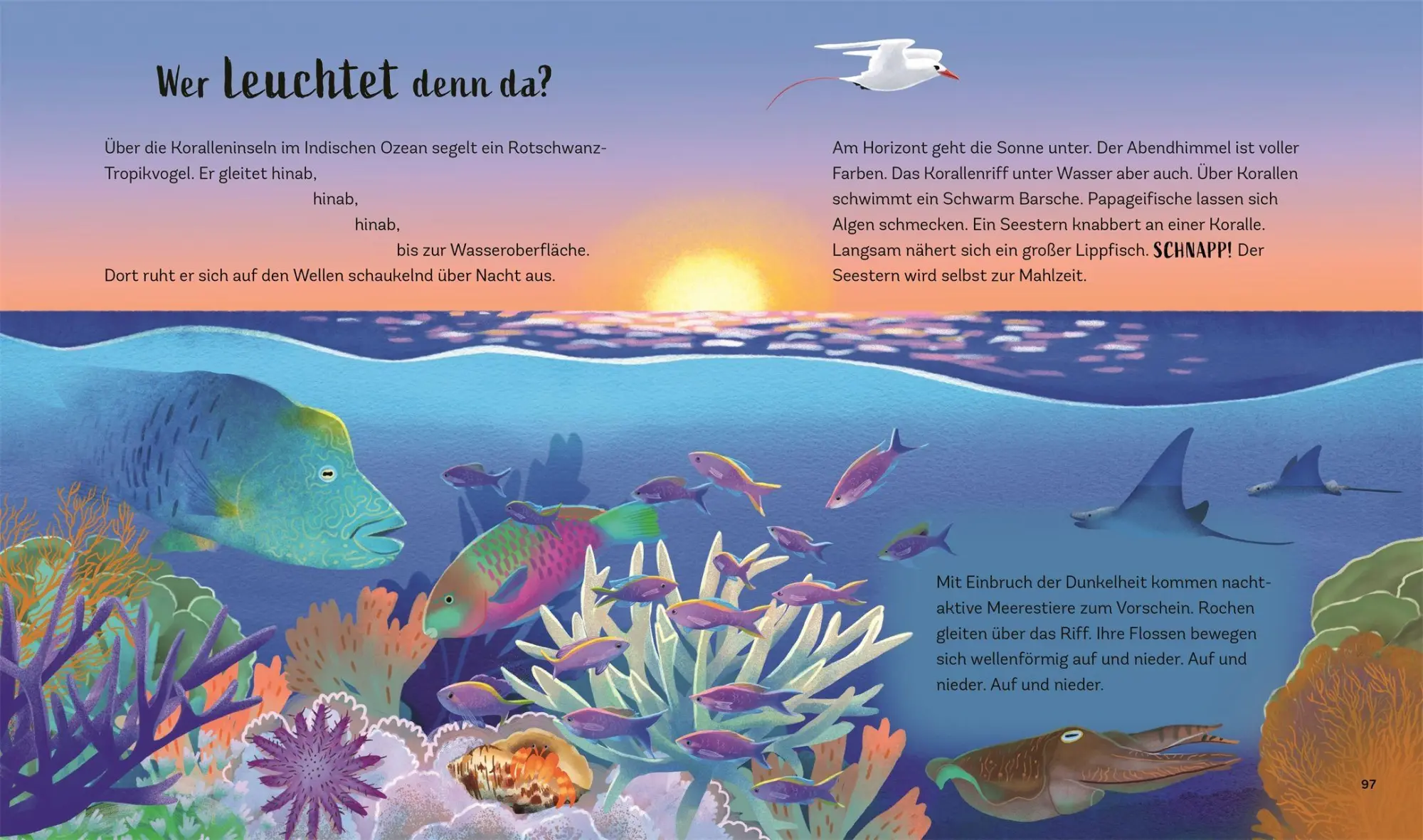 Bild: 9783831053025 | Tiergeschichten zum Träumen. Zauber der Nacht | Alicia Klepeis | Buch