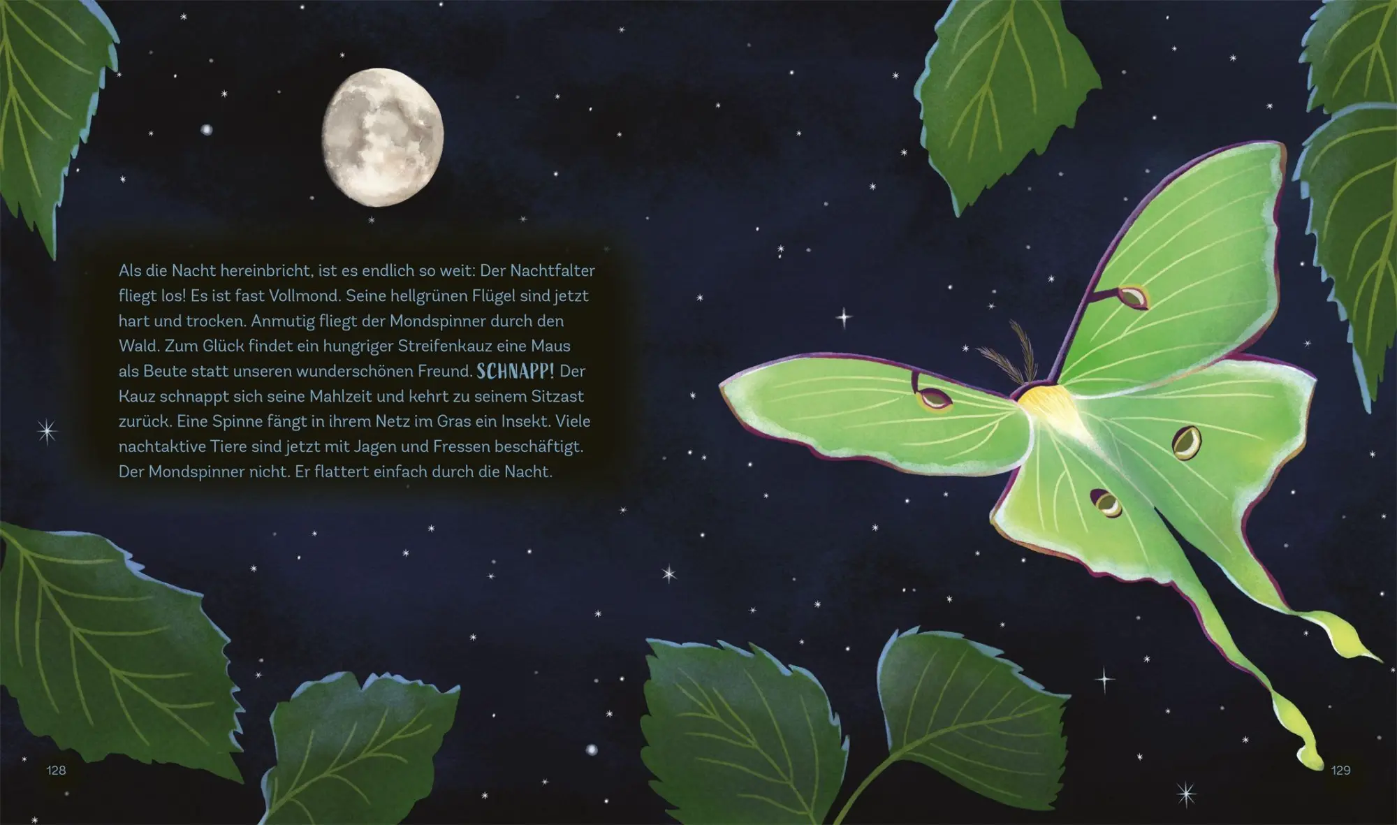 Bild: 9783831053025 | Tiergeschichten zum Träumen. Zauber der Nacht | Alicia Klepeis | Buch