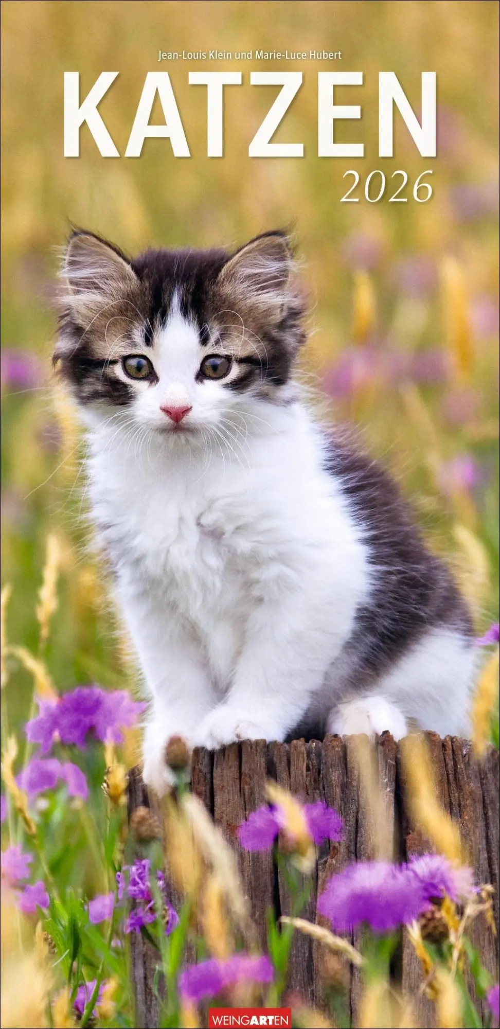 Cover: 9783839903025 | Katzen Kalender 2026 | Marie-Luce Hubert | Kalender | Spiralbindung