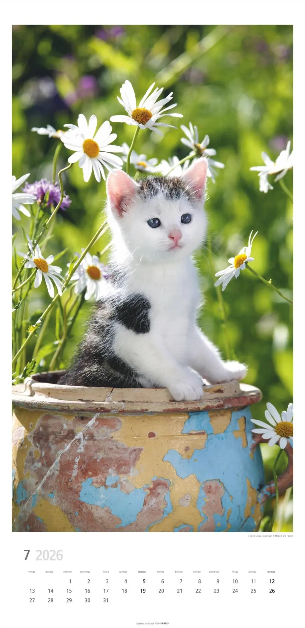 Bild: 9783839903025 | Katzen Kalender 2026 | Marie-Luce Hubert | Kalender | Spiralbindung