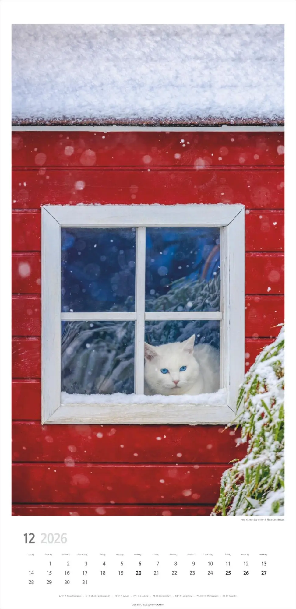 Bild: 9783839903025 | Katzen Kalender 2026 | Marie-Luce Hubert | Kalender | Spiralbindung
