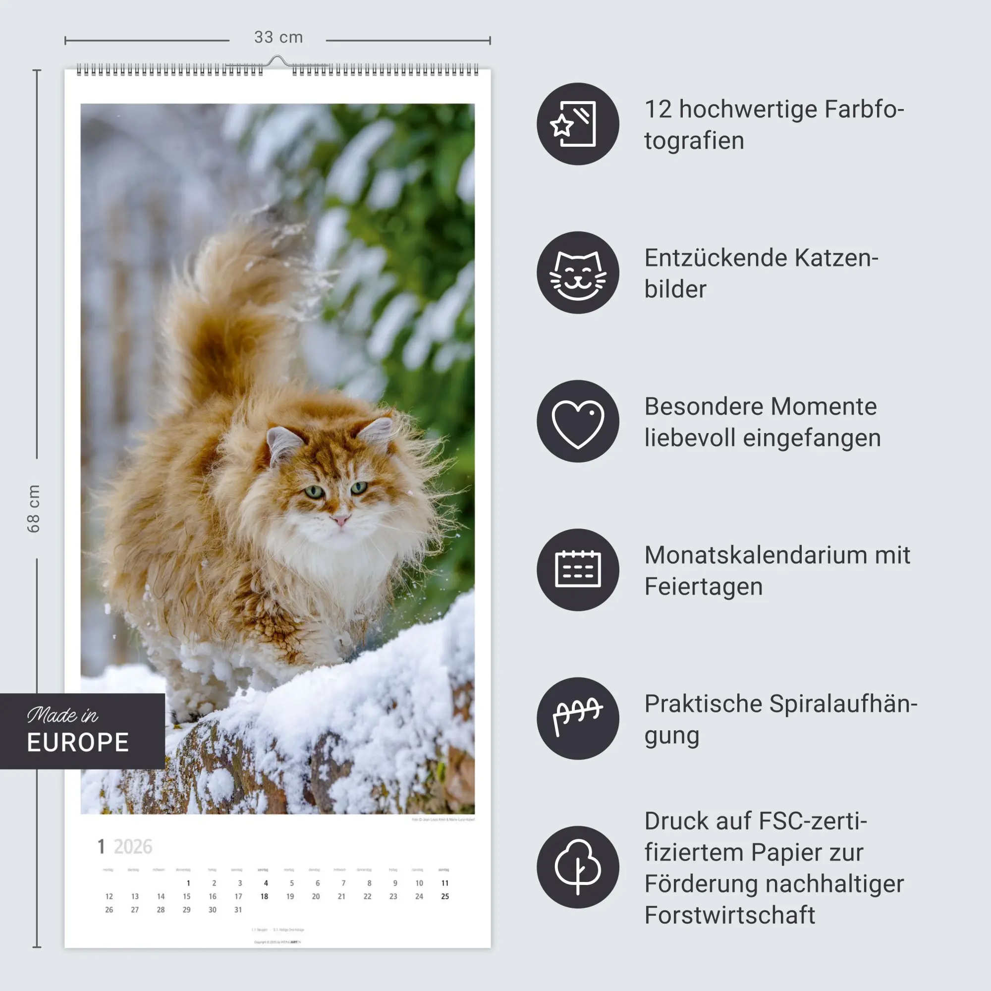 Bild: 9783839903025 | Katzen Kalender 2026 | Marie-Luce Hubert | Kalender | Spiralbindung