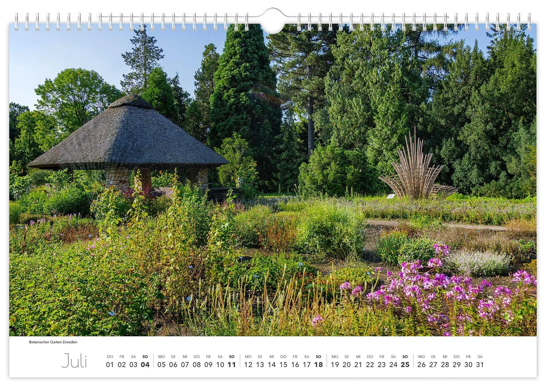 Bild: 9783912303025 | Kalender Dresden Elbflorenz 2027 | 45 x 30 cm weißes Kalendarium