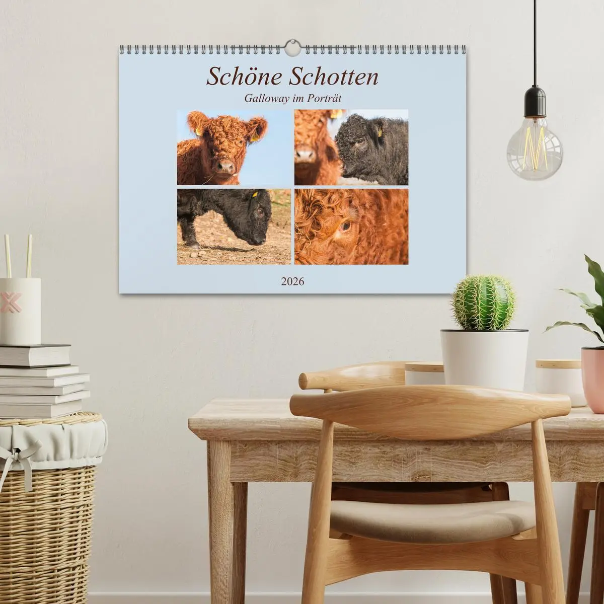 Bild: 9783457753125 | Schöne Schotten - Galloway im Porträt (Wandkalender 2026 DIN A3...